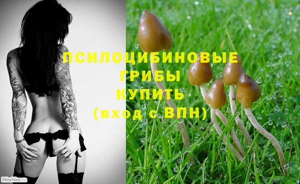 кокаин колумбия Белокуриха