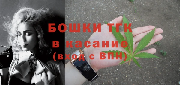 apvp Богородицк
