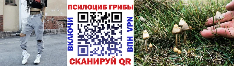магазин  наркотиков  Верещагино  Псилоцибиновые грибы MAGIC MUSHROOMS 
