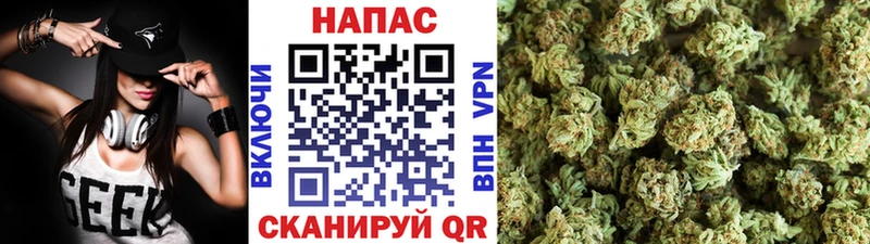 Каннабис индика  цена   Верещагино 